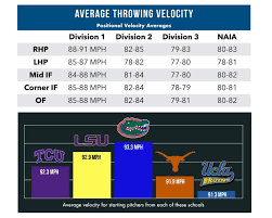 Elite Velocity Program