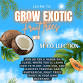 Growing tropical fruit trees event in Richmond, VA