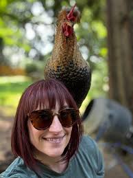 I have accumulated too many chickens & have 12 or so to get rid of. pm for  info