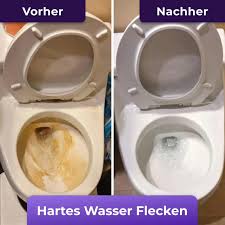FizzClean Anwendung im WC