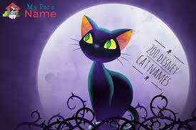 We divided them into 40 dog names and 20 cat names, but you can definitely name your feline after a pup or vice versa. 200 Disney Cat Names A List Of Every Disney Name For Cats My Pet S Name