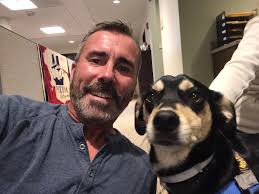 Window murals for Will & Co. Cafe and new store in Plymouth Center