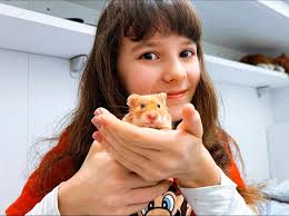 È arrivato Mochi! 🐹 Il criceto di Alyssa per il suo 12° compleanno