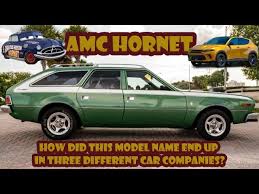 Image result for Frost White 1970 Hornet