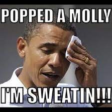 Popped A Molly I M Sweatin Know Your Meme