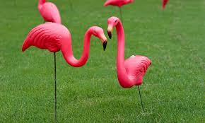 Check spelling or type a new query. Inventor Of The Plastic Pink Flamingo Passes Away Baltimore Magazine