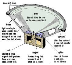 The Moving-Coil Speaker