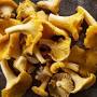 Chanterelle Mushrooms from www.healthline.com