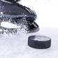 Allen Americans at Idaho Steelheads event image