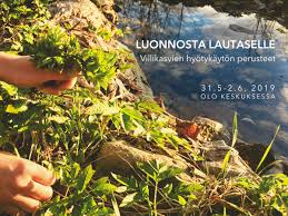 Kettulanvaara, huotarinvaara, mikitanvaara ja jakunvaara. Luonnosta Lautaselle Villikasvien Hyotykayton Perusteet For The Sake Of Being S