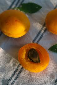 Agata fagata porn Com - the best free porn videos on