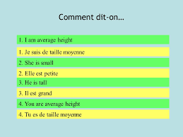 (vers 1140) déverbal de tailler. Je Suis De Taille Moyenne En Espagnol Partager Taille Bonne