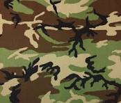 WOODLAND NY/CO Ripstop Rip Stop Spécifications militaires ...