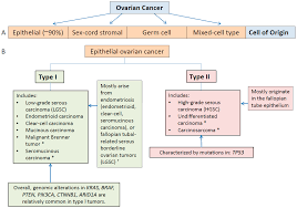Ovarian cancer risk factors & prevention. Ijms Free Full Text Molecular Characterization Of Epithelial Ovarian Cancer Implications For Diagnosis And Treatment