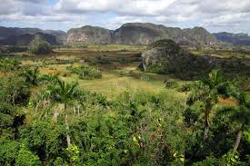 Check spelling or type a new query. Wandgemalde Der Vorgeschichte In Vinales Tal Pinar Del Rio Kuba Redaktionelles Bild Bild Von Grun Umgebung 65269855