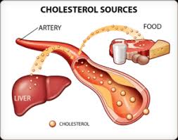 Simply take the triglyceride and divide by the hdl; Cholesterol Ratio Optimal Health Solutions