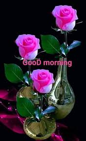 Pin By Desiree J Jordan On Buenos Dias Good Morning Flowers Rose Beautiful Flowers Wallpapers Beautiful Rose Flowers
