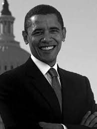 THE EXECUTIVE: BRANCH OF THE FEDERAL GOVERNMENT, PURPOSE, PROCESS, AND  PEOPLE