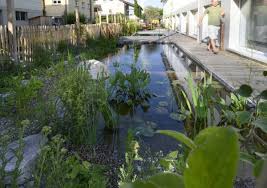 Diy Schwimmteich Eigenbausatz In 2020 Schwimmteich Selber Bauen Schwimmteich Teich