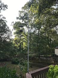 Bird Feeder Pole For Deck How To Stop Squirrels From Climbing A Bird Feeder Pole Chatfield Court Bird Feeder Poles Bird Feeders Hanging Bird Feeders