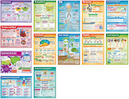 Amazon Com Biology Posters Set Of 13 Science Posters Gloss Paper Measuring 33 X 23 5 Stem Charts For The Classroom Education Charts By Daydream Education Office Products