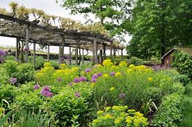 Plant Lover S Garden Hyland Garden Design Plants Garden Design Plant Lover