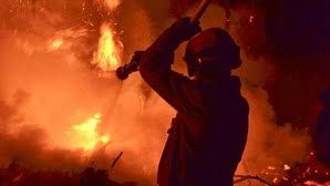 Instituição com 133 anos ao serviço da comunidade e da cidade de tavira. Incendio De Tavira Combatido Por Mais De 700 Bombeiros Portugal Correio Da Manha