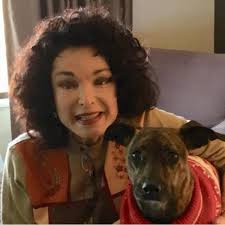 Who can professionally tailor suit pants in Washington County PA?