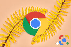 Chrome Lens Vervangt Nu Deze Functie Van Google Afbeeldingen