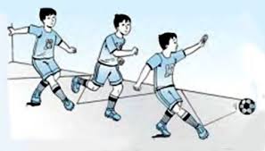 We did not find results for: Sepak Bola Sejarah Teknik Peraturan Ukuran Lapangan Bola