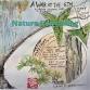 Nature Journaling