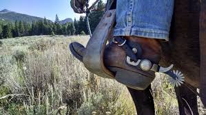 Western saddles, english saddles, saddlery, tack, horse and riding equipment at discount prices. 9 Best Boots For Western Horseback Riding