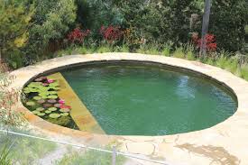 Bio Pool Natural Swimming Ponds Pool Water Features Natural Swimming Pools