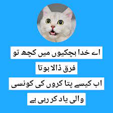 I also introduced here a text version of funny jokes in roman urdu for those who love sms and intend to. If You Did Not Do Your Homework Meme Funny Jokes In Urdu Seekhly