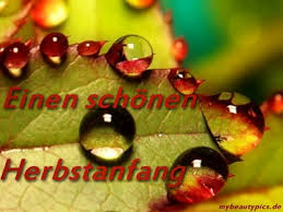 Herbstanfang Makrofotografie Es Der Clown Fotografie Blumen