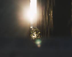 We did not find results for: Warum Cmh Da Geht Uns Ein Licht Auf Growshop Grow Shop Garden