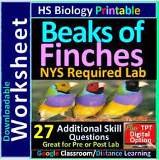 Several aspects of ornithology differ from related disciplines, due partly to the high visibility and the aesthetic appeal of birds. Beaks Of Finches Lab Worksheets Teaching Resources Tpt
