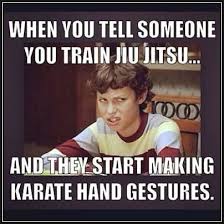 Pin By Jake From Statefarm On Momma Said Stun Them With Kindness So My Knuckles Are Named Kind And Ness Jiu Jitsu Memes Jiu Jitsu Quotes Bjj