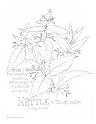 Signup to get the inside scoop from our monthly newsletters. Nettle Transformation Coloring Page My Soulflower
