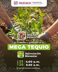 Secretaría de Fomento Agroalimentario y Desarrollo Rural Oaxaca - ¡Los Tequio  Bienestar continúan! Participa este 29 y 30 de junio en el Mega Tequio de  Reforestación que se llevará a cabo en