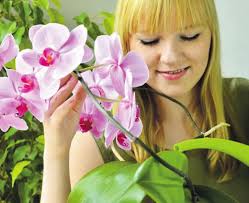 Singener Wochenblatt vom 20. Januar 2016