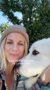 **ADOPTION AVAILABLE** The cuddliest, silliest, big ‘ol floof!, He has  captured our hearts, but he STILL NEEDS HIS FOREVER HOME., Tiny is a big,  lovable Great Pyrenees around 1.5-years-old and 90 ...