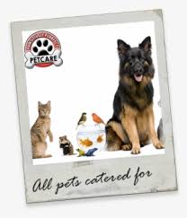We did not find results for: Banfield Logo Banfield Pet Hospital Logo Transparent Transparent Png 3300x1424 Free Download On Nicepng