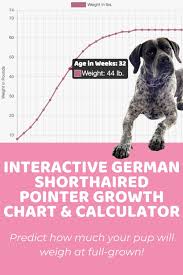 This simple calculator allows you to see how the weight and height (length) of an infant compare to other infants of the same age. Homepage Puppy Weight Calculator