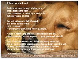 Visit the dog rainbow bridge to add a tribute to your beloved dog. Healing Pet Loss Podcast Dog Poems Pet Grief Pet Loss