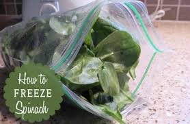 Frozen spinach works great for freezer smoothies. How To Freeze Fresh Spinach Eat At Home