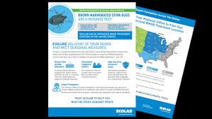 Stink bug pest control services. Brown Marmorated Stink Bug Ecolab