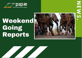 © goffs uk all rights reserved. Irish Point To Point