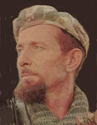 Born Warriors: Brothers in Arms