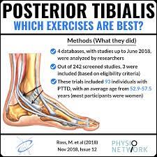 Physio Network Posterior Tibialis Today S Post Is Facebook